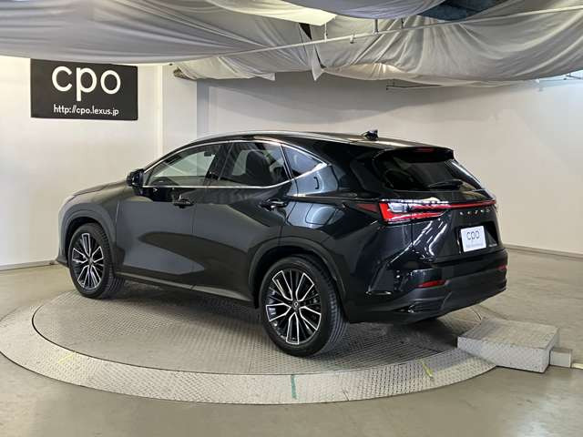 NX250 バージョンL