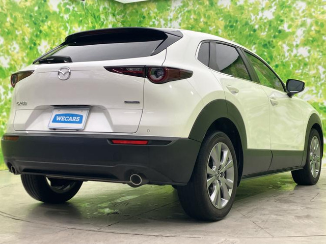 CX-302.0 20S
