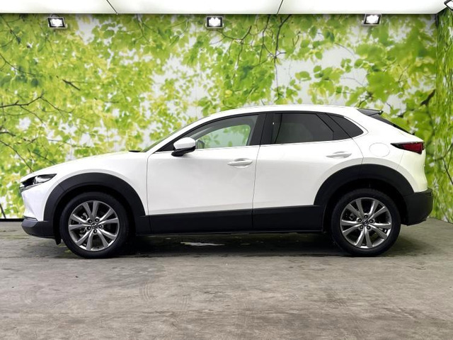 CX-302.0 20S プロアクティブ