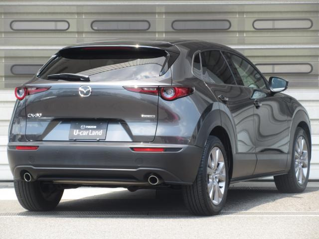 CX-301.8 XD Lパッケージ