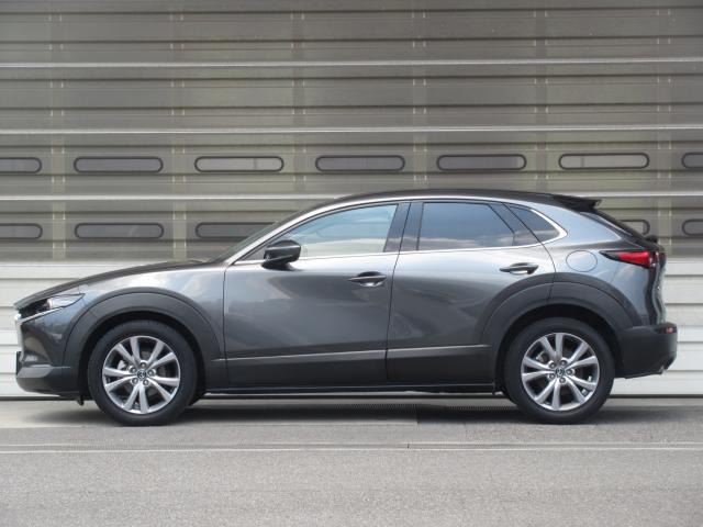 CX-301.8 XD Lパッケージ