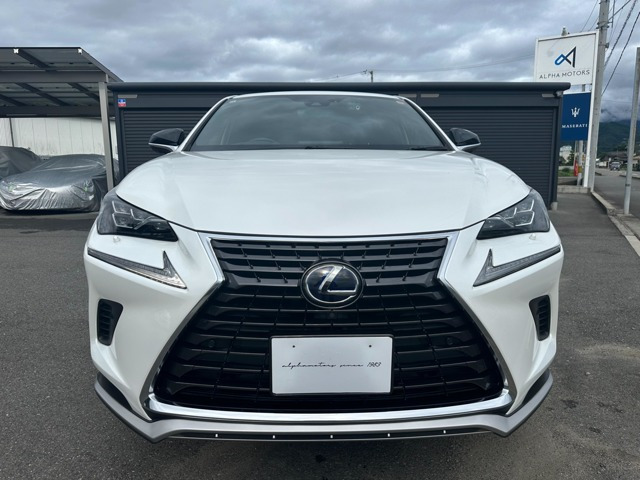 NX300h