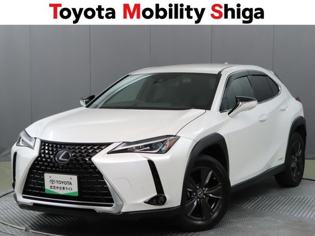 UX250h ブラウン エディション