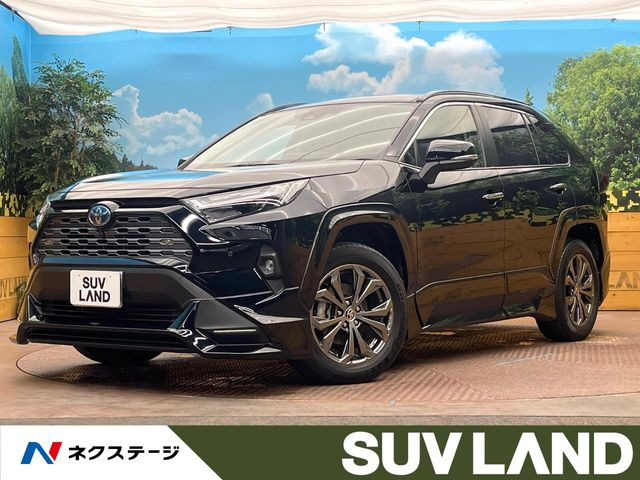 RAV42.5 ハイブリッド G E-Four 4WD