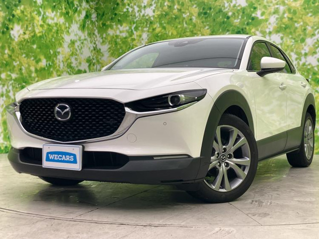 CX-302.0 20S