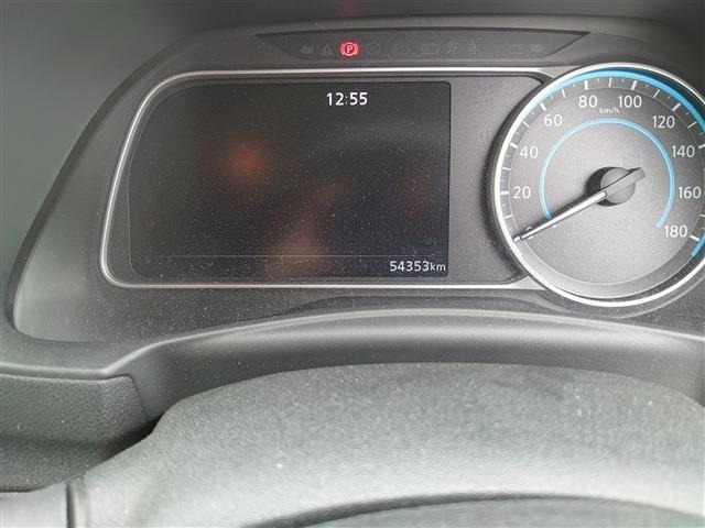 リーフe+ G