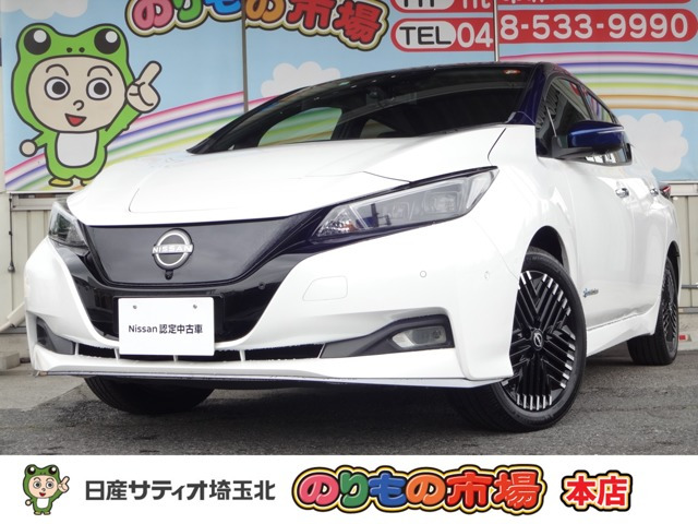 リーフe+ G