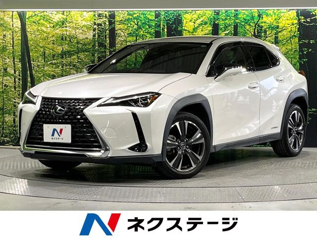 UX250h バージョンL