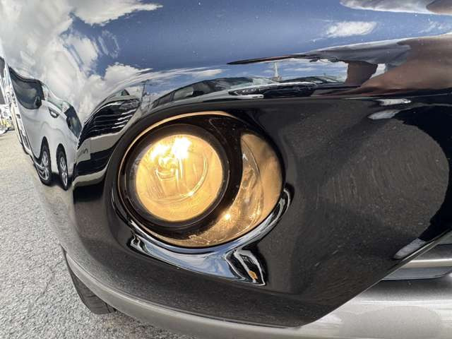 ムラーノ2.5 250XV