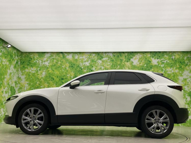 CX-302.0 20S