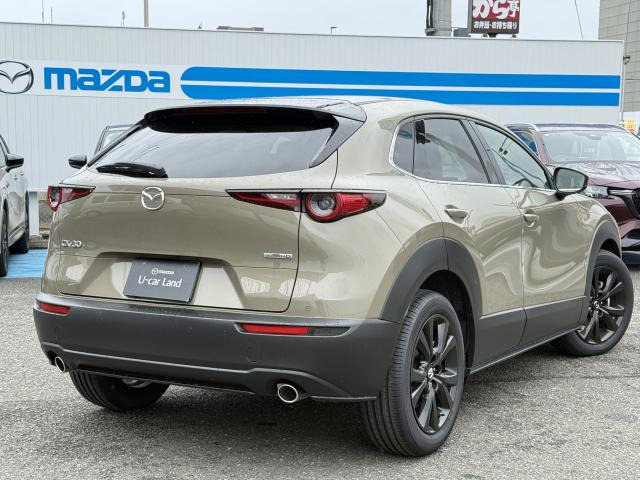 CX-301.8 XD ドライブ エディション