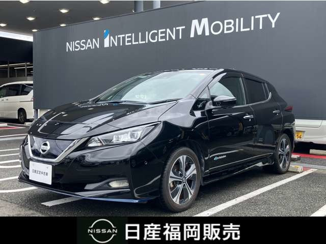 リーフe+ G