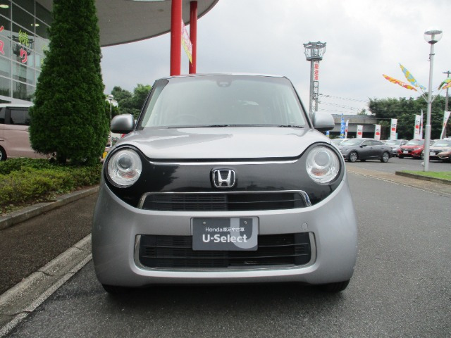 N-ONEG