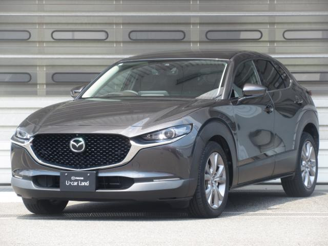 CX-301.8 XD Lパッケージ