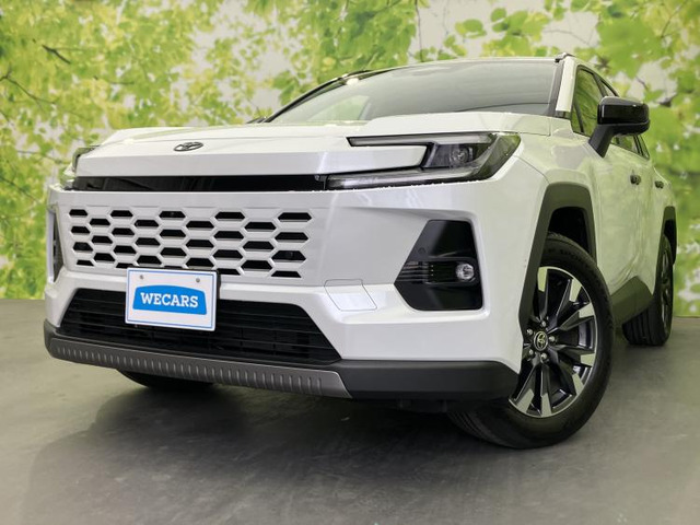 RAV42.5 Z E-Four 4WD
