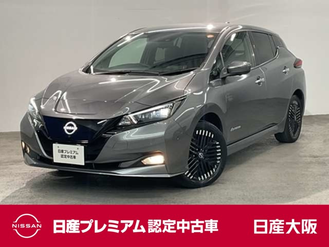 リーフe+ G