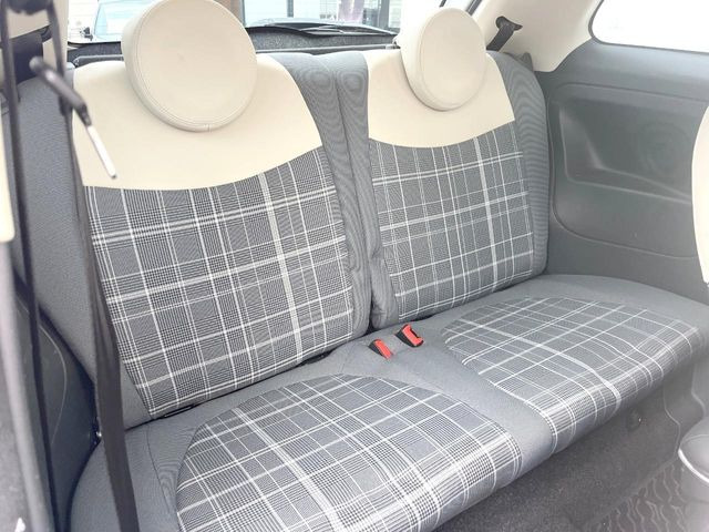 ���㕔���Ȃ��C�ɂȂ�悤�ȃL�Y�E�����ւ��蓙�A�傫�ȃ_���[�W�͂Ȃ��A�ǍD�ȏ�Ԃł��B