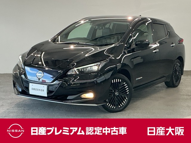 リーフe+ G