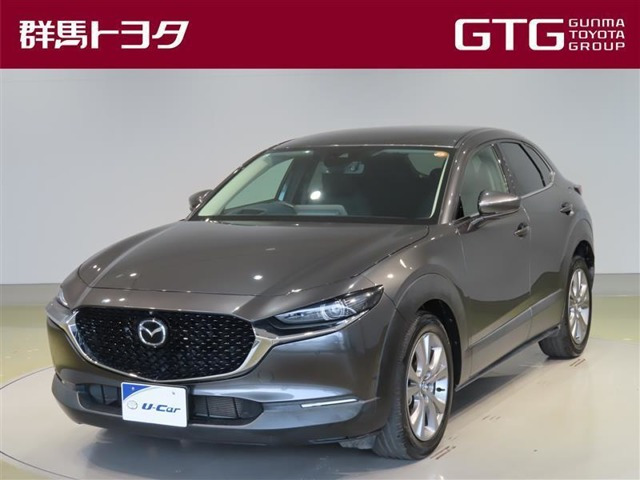 CX-302.0 20S プロアクティブ