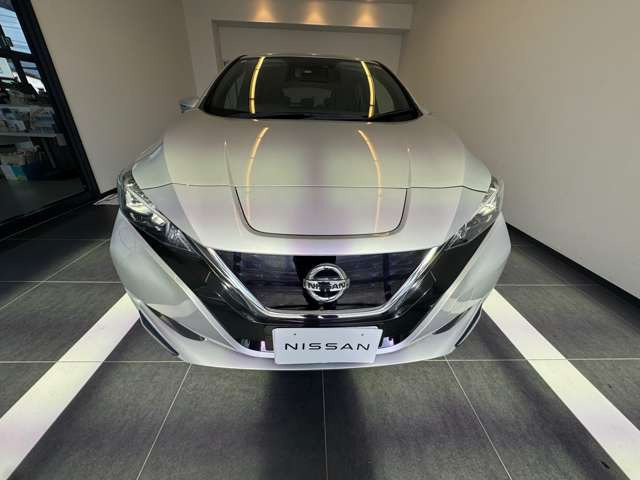 リーフX