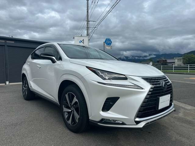 NX300h