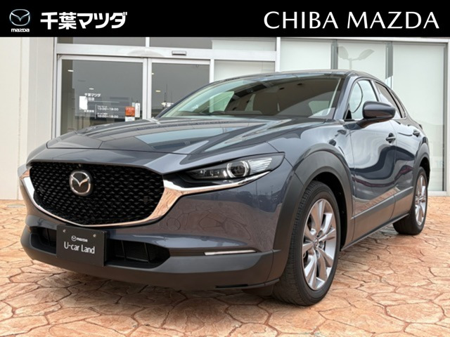 CX-302.0 20S プロアクティブ