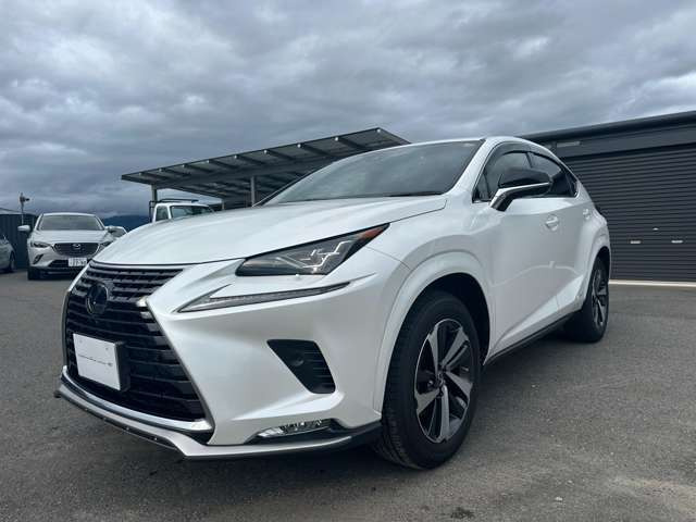 NX300h