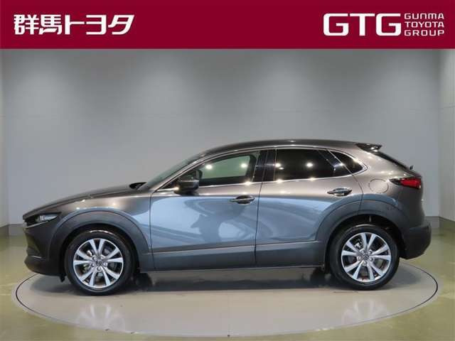 CX-302.0 20S プロアクティブ