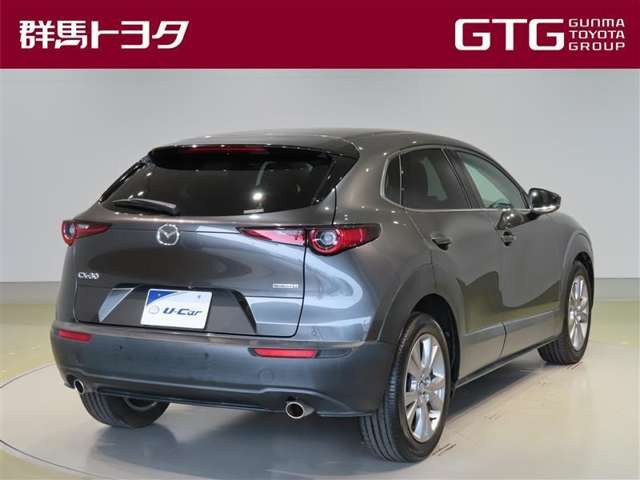 CX-302.0 20S プロアクティブ