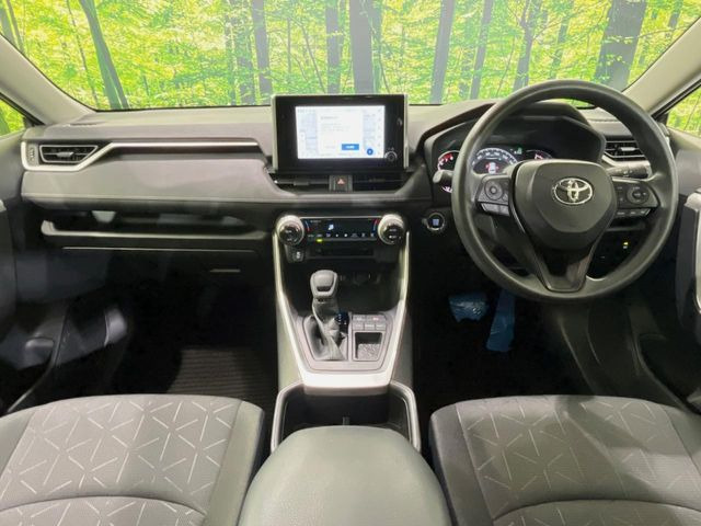 RAV42.0 X