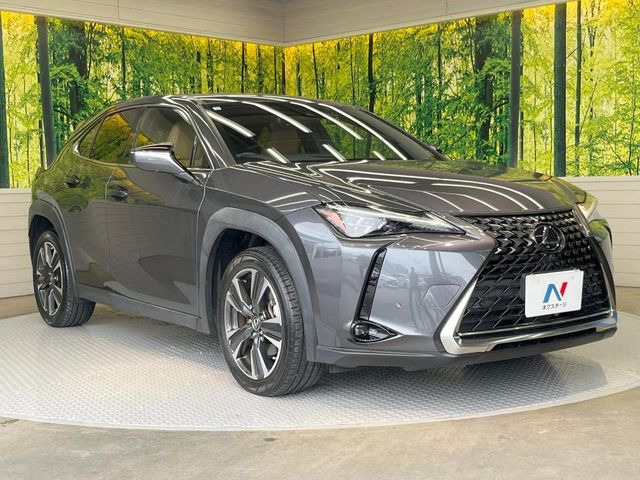 �������x�̃K���X�疌�ŝ����͂������A�㎿�ȃc���E����������B���O����_���J�����؂Ȉ��Ԃ�ی삵�A�F�����E�򉻂�h�~�B�u�e�X�v���b�V���R�[�g�v�A�u�e�v���~�b�T�R�[�g�v���炨�I�т��������܂��B