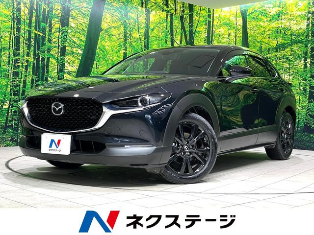 CX-302.0 20S ブラックトーンエディション