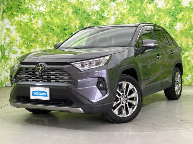 RAV42.0 G Zパッケージ 4WD