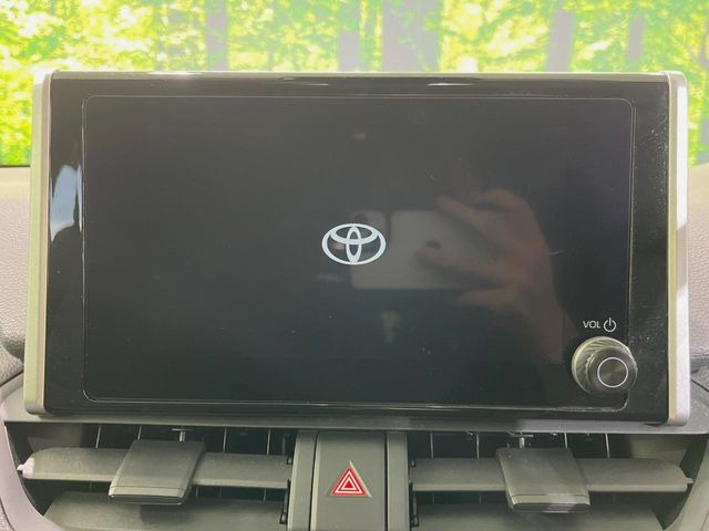RAV42.0 X