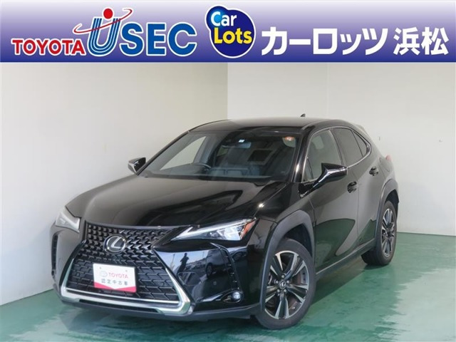 UX250h バージョンL