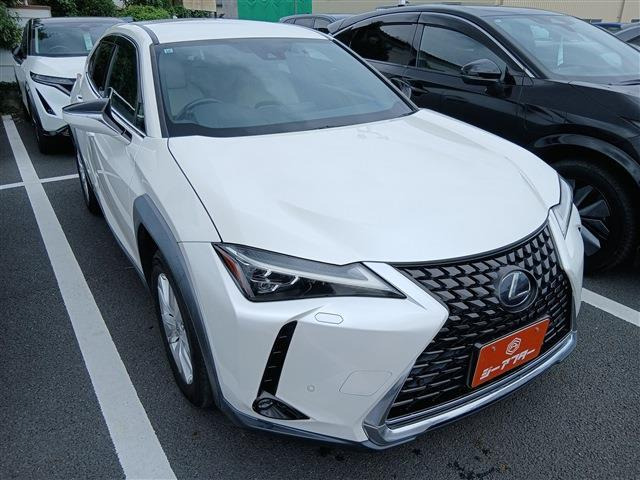 UX250h バージョンC
