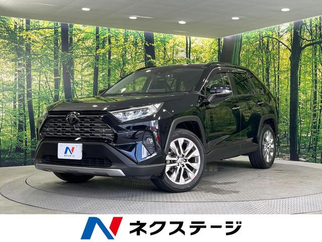 RAV42.0 G Zパッケージ 4WD