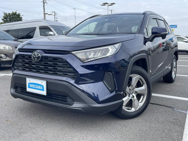 RAV42.0 X