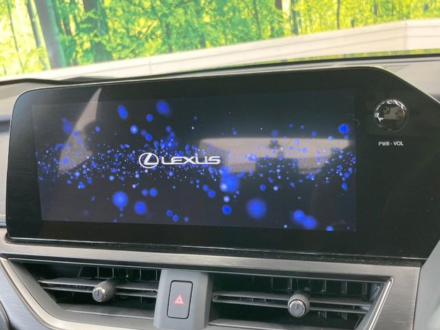 UX250h バージョンL