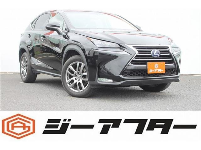 NX300h バージョンL