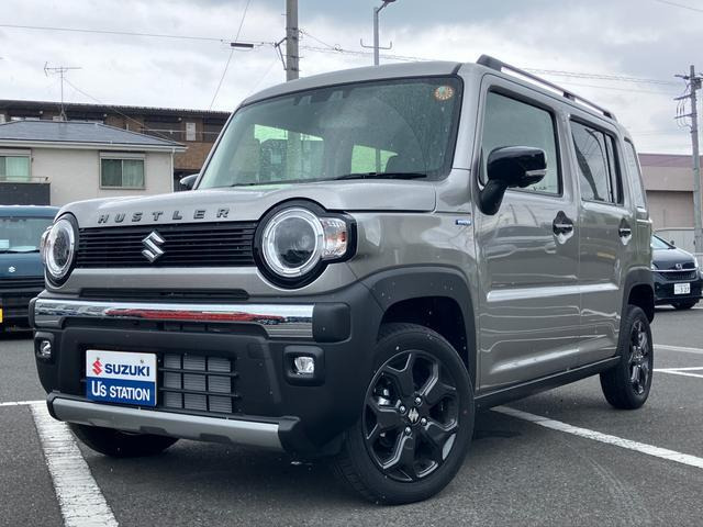 ハスラータフワイルド