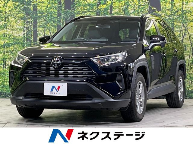 RAV42.0 X