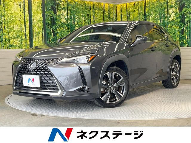 UX250h バージョンL