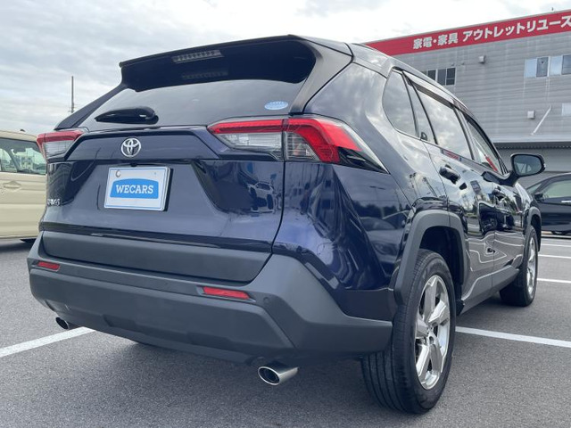 RAV42.0 X