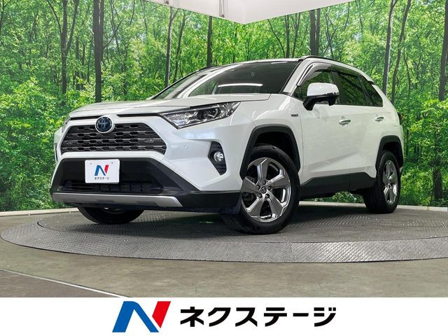 RAV42.5 ハイブリッド G E-Four 4WD