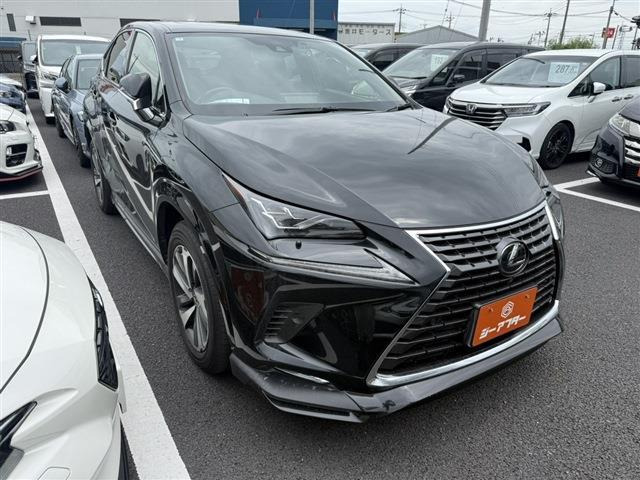 NX300 スパイス&シック