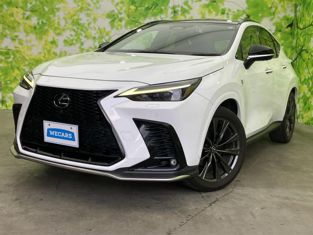 NX350h Fスポーツ