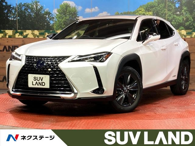 UX250h ブラウン エディション