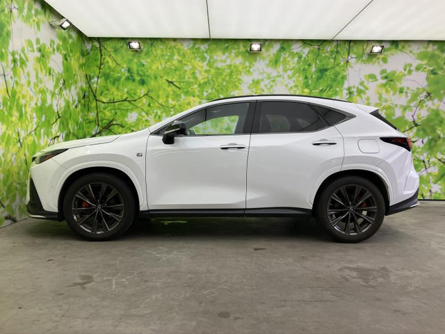 NX350h Fスポーツ
