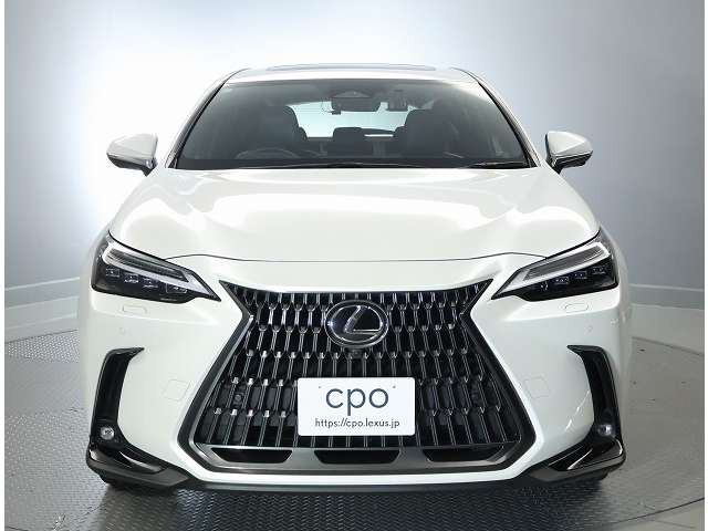 NX350h バージョンL